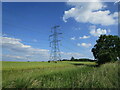 TF1103 : Barley field and pylon off King Street by Jonathan Thacker