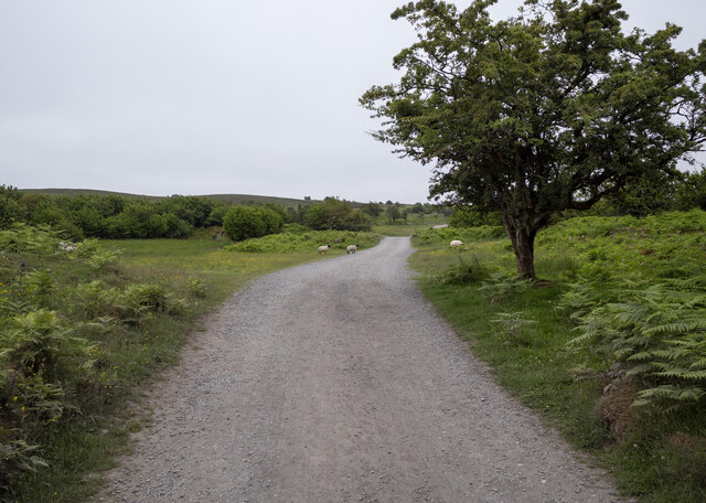 The Legnabrocky Trail