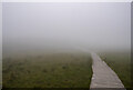 H1128 : The Cuilcagh Boardwalk by Rossographer