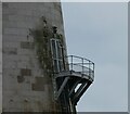 NL8426 : Skerryvore Lighthouse - doorway part way up the lighthouse by Rob Farrow