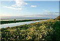 TL4886 : Looking across the New Bedford River at Oxlode by Jeff Buck