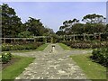 SZ6598 : Path in Southsea Rose Garden by Steve Daniels