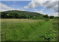 SO4382 : Onny Meadows at Craven Arms by Mat Fascione