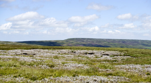 Moorland near Longlaw End