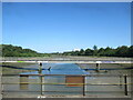 SU6604 : Railway crossing the Ports Creek near Cosham by Roy Hughes