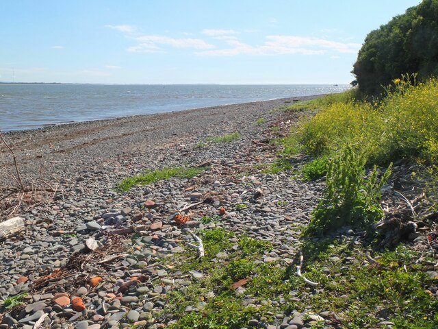 Shore at Barnkirk Point, Solway Firth