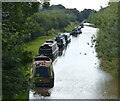 SJ5958 : Narrowboats moored along the Shropshire Union Canal by Mat Fascione