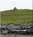 NM0746 : Tiree - Cairn on Soa by Rob Farrow