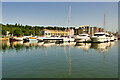 ST4776 : Portishead Marina by David Dixon