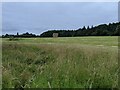 TF0820 : Baled and stacked in the Blind Well Field by Bob Harvey