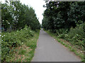 SE2220 : Spen Valley Greenway by habiloid