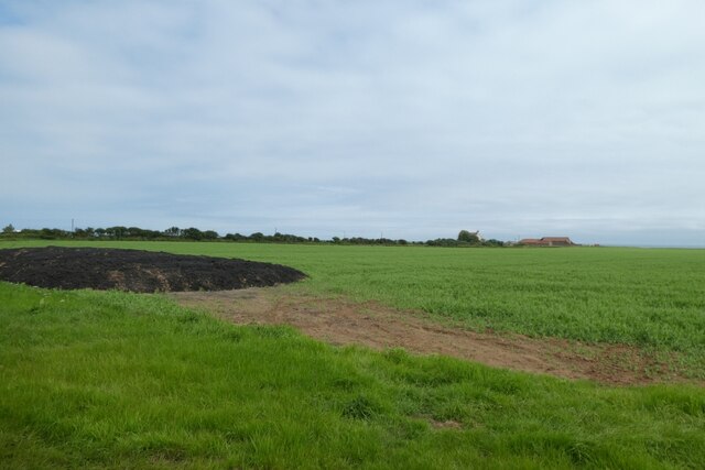 Field beside Holmpton Road