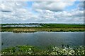 TL4988 : Looking across the New Bedford River by Jeff Buck