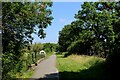 SE6142 : York and Selby Path crossing the Stillingfleet Beck by Chris Heaton