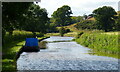 SJ5559 : Narrowboats moored along the Shropshire Union Canal by Mat Fascione