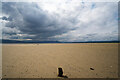 NH7987 : Posts in Dornoch Sands by Julian Paren