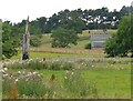 NS9575 : Dead tree and animal pen by Richard Sutcliffe