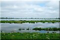 TL4885 : View towards the Ouse Washes near Oxlode by Jeff Buck