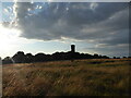 NZ3863 : Evening view to Cleadon Water Tower by Jeremy Bolwell