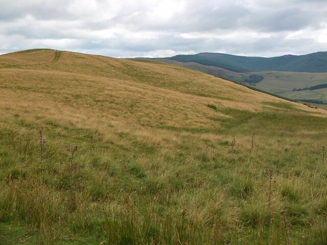 Hillside below the Hamilton Hill mast