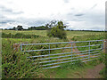 SO8751 : Bridleway towards Crookbarrow Hill, Norton, Worcestershire by Chris Allen