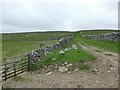 SD9968 : Top of the walled track from Conistone by Stephen Craven