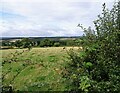 NZ0953 : Grazing field beside West Law Lane by Robert Graham