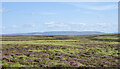 NY9114 : Flat moorland north of Deepdale Beck by Trevor Littlewood