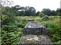 SO6313 : Site of Foxes Bridge Colliery - machinery foundations  by Chris Allen