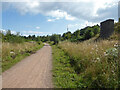 SO6313 : Cycle trail through the site of Foxes Bridge Colliery by Chris Allen