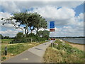 SZ0290 : Shared use path alongside Poole Harbour by Malc McDonald