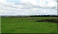 NZ1152 : Fields to the west of the B6308 by Robert Graham