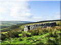 NY8632 : Sheepfold on south-western slope of Fendrith Hill by Trevor Littlewood