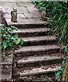 SO4200 : Two stone dragons in Llangwm, Monmouthshire by Jaggery