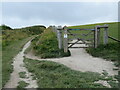 SZ0481 : South West Coast Path near Swanage by Malc McDonald