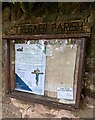 SO4110 : Variant spelling on the Parish Noticeboard, Tregare, Monmouthshire by Jaggery