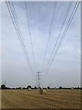  : Hay Bales & Power Lines by David Robinson