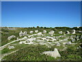 SY6872 : The Circle of Stones, Tout Quarry Sculpture Park, Isle of Portland by Malc McDonald