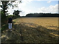 TM3363 : Field  edge  track  and  footpath  toward  Low  Road by Martin Dawes