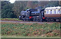 SO8074 : Severn Valley Railway - double headed pannier tanks to Bewdley by Chris Allen