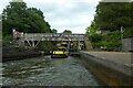 SK0743 : Rapids at Alton Towers by DS Pugh