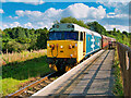 SD8012 : East Lancashire Railway, Valiant at Burrs by David Dixon