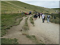 SY8080 : South West Coast Path at Durdle Door by Malc McDonald