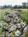 SD1798 : Extra wide, dry-stone wall by Mick Garratt