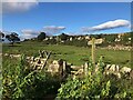 NU2518 : Gate and stile on footpath near Hips Heugh by Philip Cornwall