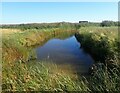 TQ9567 : View towards a birdwatching hide on Elmley Island National Nature Reserve by Marathon