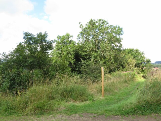 Fife Pilgrim Way at Den Plantation