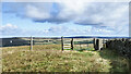 NY9141 : Trig point on Windy Hill by Trevor Littlewood