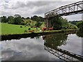 SE2137 : Cows Beside the Leeds and Liverpool Canal near Rodley by David Goodall