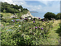 SY2289 : Allotments by Common Lane, Beer by Robin Stott